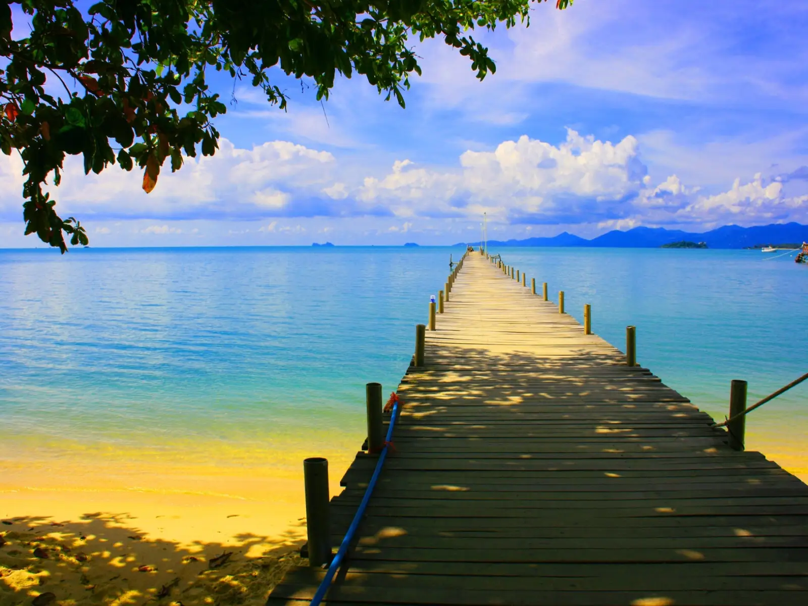 Bespoke Wood Decking